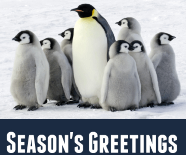  SEASON'S GREETINGS